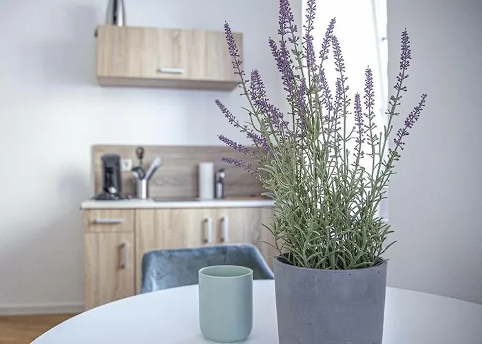 Grape Escape Ferienhaus Zell