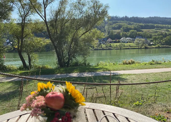 Grape Escape Ferienhaus Zell